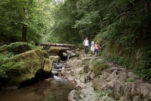 Oberösterreich Tourismus GmbH/Martin Fickert